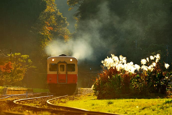鉄道タレント賞