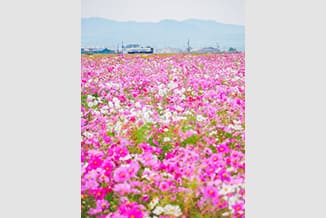 みんてつ賞